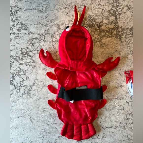 Lobster Pet Costume - Picture 3 of 8